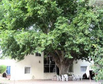 фото отеля Posada del Arbol
