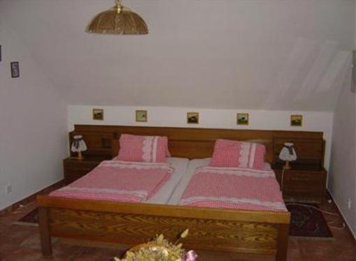 фото отеля Pension Regina Vetrni