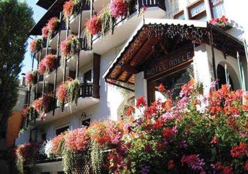 фото отеля Albergo Adele