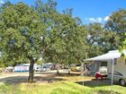 фото отеля Bungalows Camping Parque Nacional de Monfragüe Malpartida de Plasencia