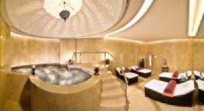 фото отеля The H Hotel Dubai