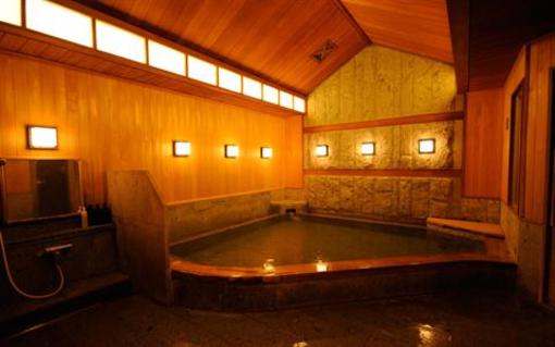 фото отеля Hotel Chinzanso Tokyo