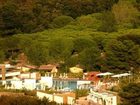 фото отеля Camping Village Rocchette Grosseto