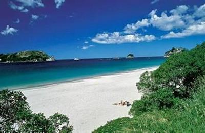 фото отеля Pacific Harbour Lodge Tairua
