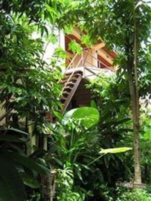 фото отеля Natural Wing Health Spa & Resort