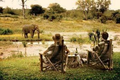 фото отеля Motswari Private Game Reserve