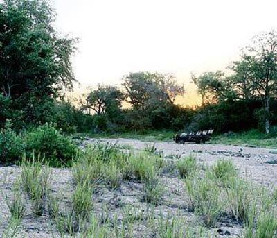 фото отеля Motswari Private Game Reserve