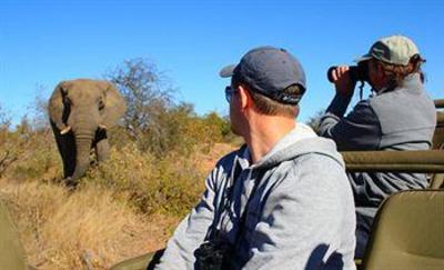 фото отеля Motswari Private Game Reserve