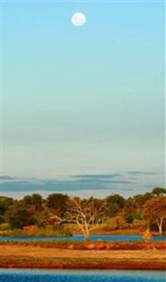 фото отеля Motswari Private Game Reserve