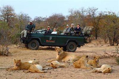 фото отеля Motswari Private Game Reserve