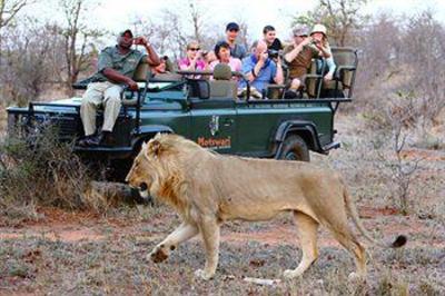 фото отеля Motswari Private Game Reserve
