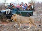 фото отеля Motswari Private Game Reserve