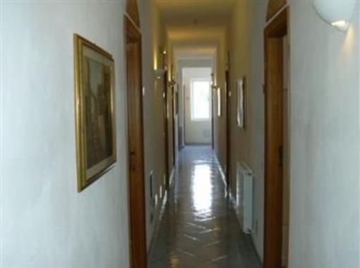 фото отеля hotel ortensia