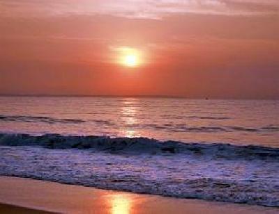 фото отеля Sunny Beach Resort