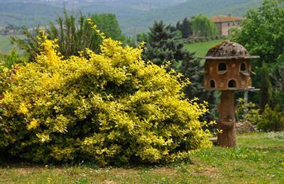 фото отеля Hotel Primavera Barberino Val d'Elsa