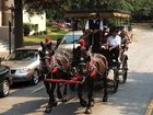 фото отеля Embassy Suites Savannah Airport