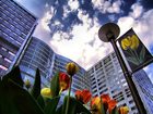 фото отеля DoubleTree by Hilton Rochester / Mayo Clinic Area