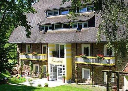 фото отеля Hotel Frankenschleif
