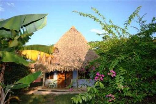 фото отеля Hotel Playa Negra