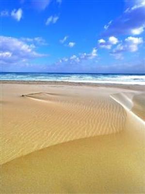 фото отеля Sea View Resorts & Spa