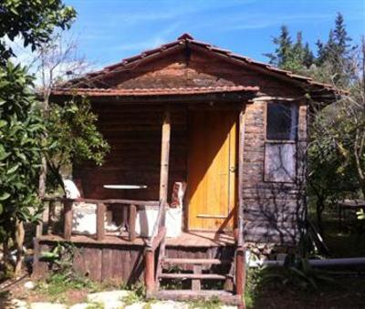 фото отеля Olymphouse Pension