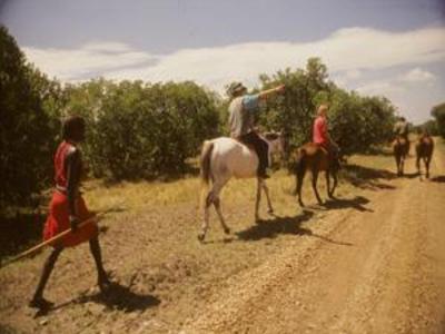 фото отеля Fig Tree Camp