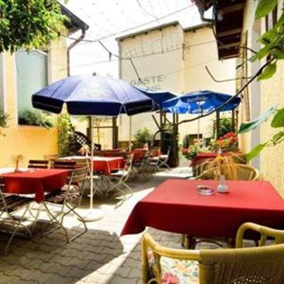 фото отеля Hotel Bayerischer Loewe Osterhofen