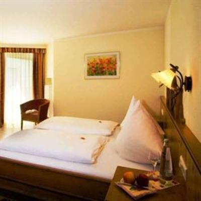 фото отеля Hotel Bayerischer Loewe Osterhofen