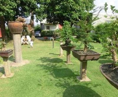 фото отеля 18 Bonsai Garden Resort