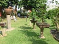 18 Bonsai Garden Resort