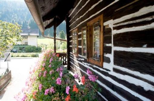фото отеля Pension Tischlerwirt