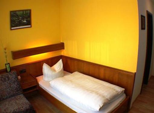 фото отеля Hotel Blauer Karpfen