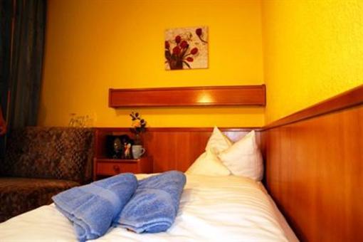фото отеля Hotel Blauer Karpfen