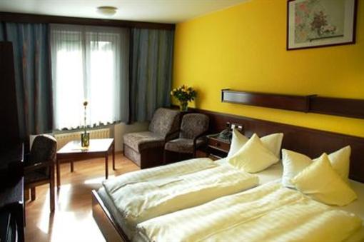 фото отеля Hotel Blauer Karpfen