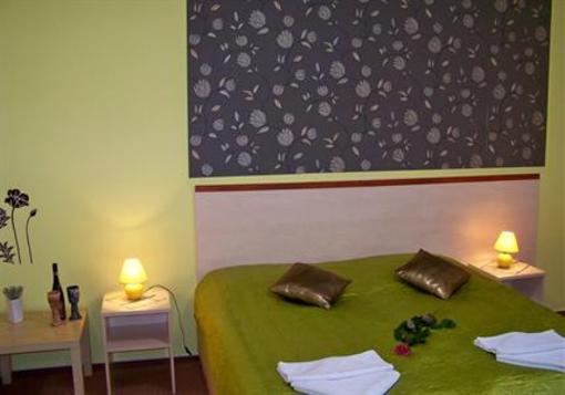 фото отеля Hotel ve Dvore