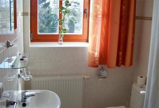фото отеля Hotel ve Dvore