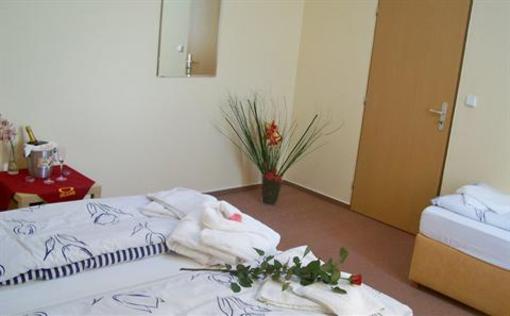 фото отеля Hotel ve Dvore