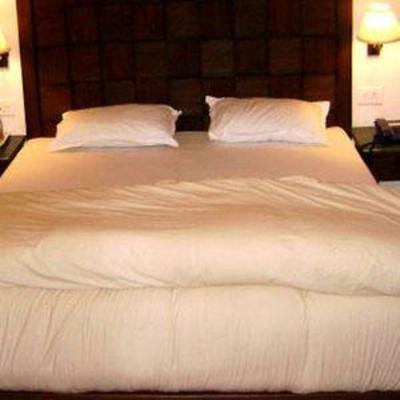 фото отеля Hotel Kasauli Woods
