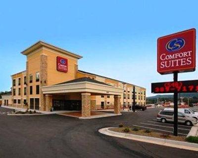 фото отеля Comfort Suites Salem (Virginia)