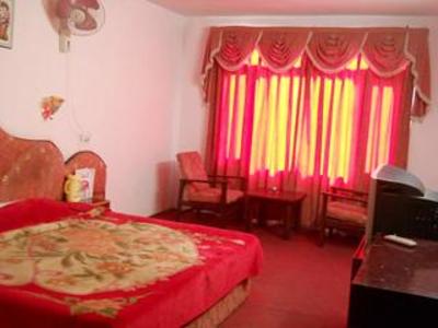 фото отеля Hotel Manali Castle