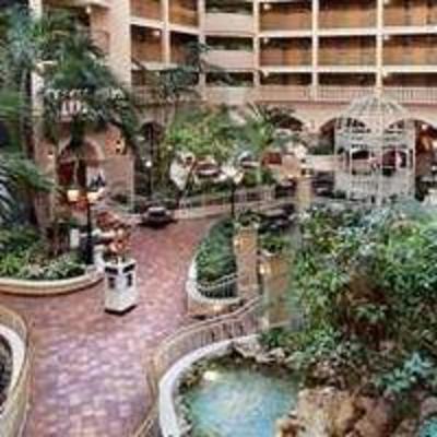 фото отеля Embassy Suites Hotel Orlando - International Drive / Convention Center