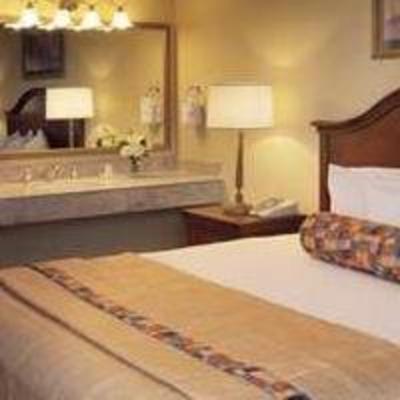 фото отеля Embassy Suites Hotel Orlando - International Drive / Convention Center