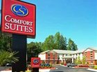 фото отеля Comfort Suites Morrow