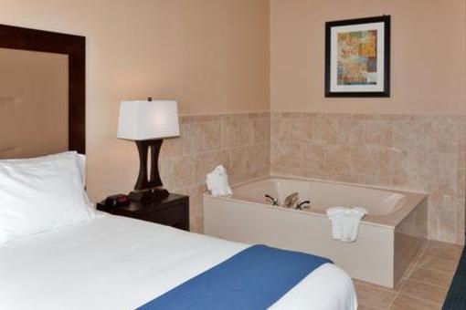 фото отеля Holiday Inn Express Hotel & Suites Detroit Novi