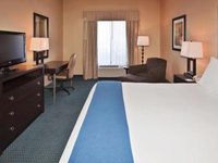 Holiday Inn Express Hotel & Suites Detroit Novi