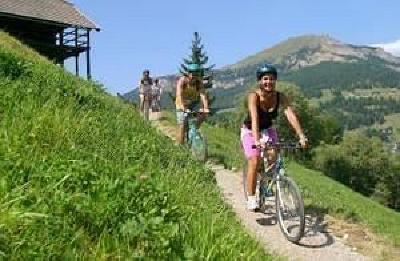 фото отеля Hotel Antares Selva Di Val Gardena