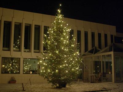 фото отеля Hotel Hofn