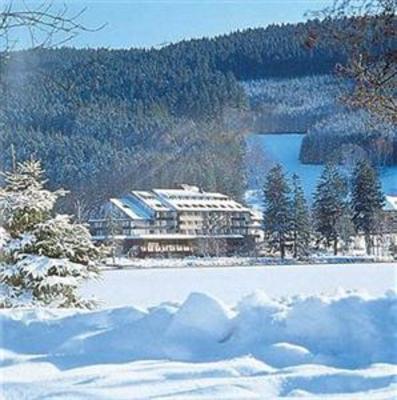 фото отеля Maritim Titiseehotel