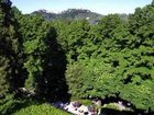 фото отеля Mediterraneo Hotel Montecatini Terme