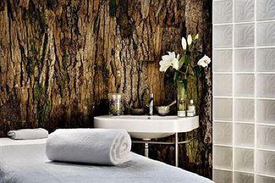 фото отеля Le Lodge Park Hotel Megeve